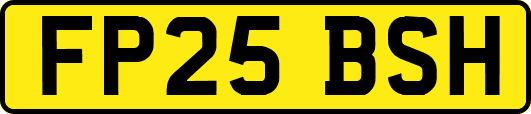 FP25BSH