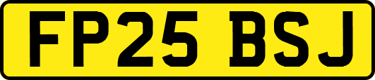 FP25BSJ
