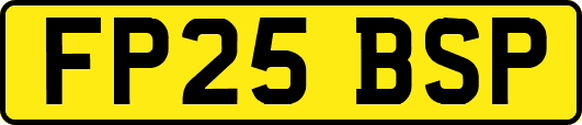 FP25BSP