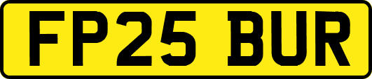 FP25BUR