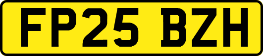 FP25BZH