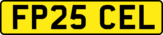 FP25CEL
