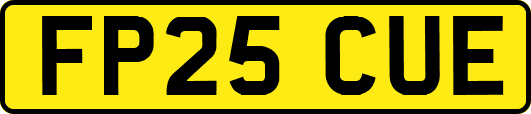 FP25CUE