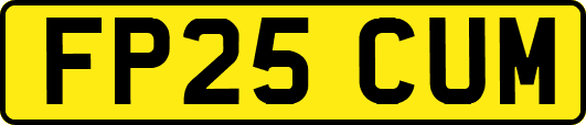 FP25CUM