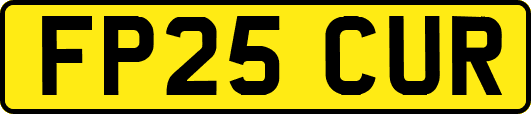 FP25CUR
