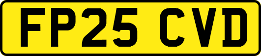 FP25CVD