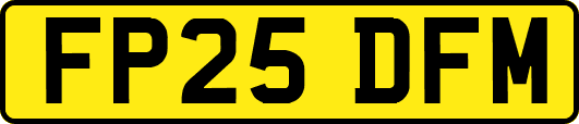 FP25DFM