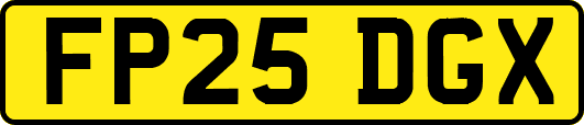 FP25DGX