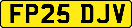 FP25DJV