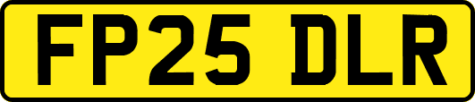 FP25DLR