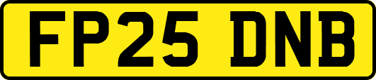 FP25DNB