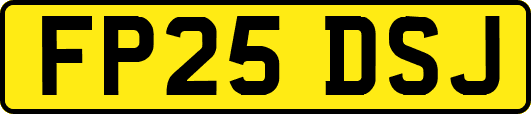FP25DSJ