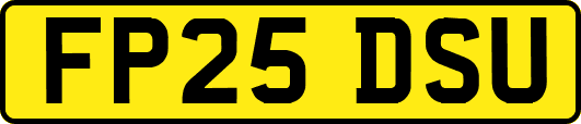 FP25DSU