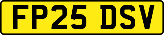 FP25DSV