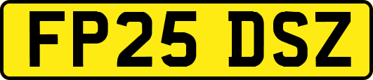 FP25DSZ