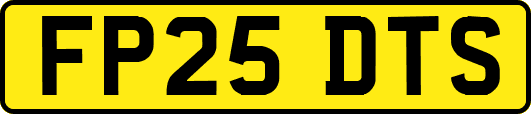 FP25DTS
