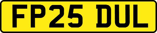 FP25DUL