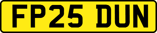 FP25DUN