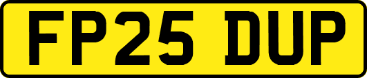 FP25DUP