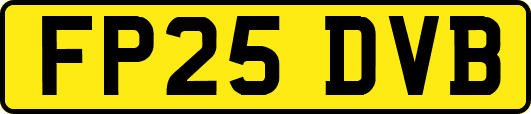 FP25DVB