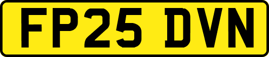 FP25DVN