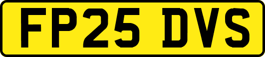 FP25DVS