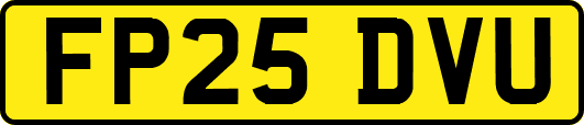 FP25DVU