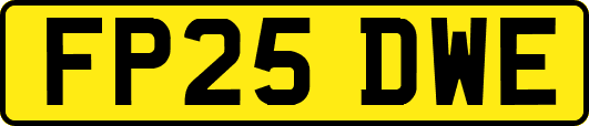 FP25DWE