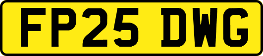 FP25DWG