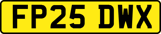 FP25DWX