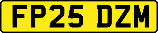 FP25DZM