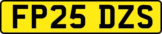 FP25DZS