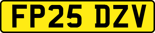 FP25DZV