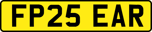 FP25EAR