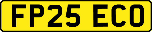 FP25ECO