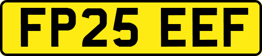 FP25EEF