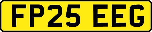 FP25EEG