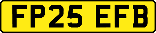 FP25EFB
