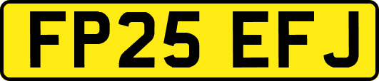 FP25EFJ