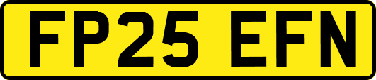FP25EFN