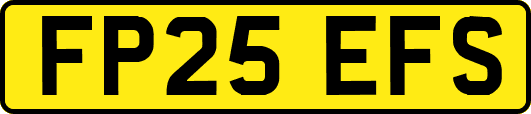 FP25EFS
