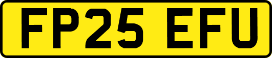 FP25EFU