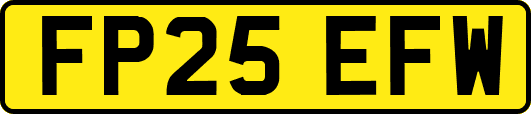 FP25EFW