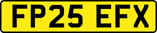 FP25EFX
