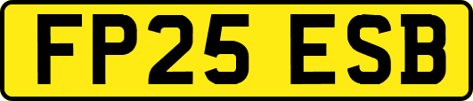FP25ESB