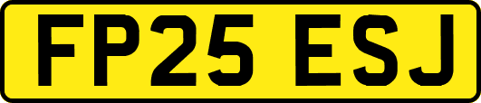 FP25ESJ