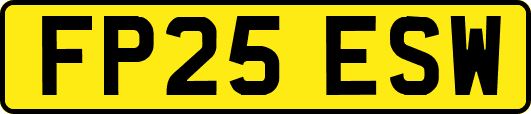 FP25ESW