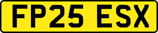 FP25ESX