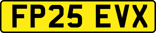 FP25EVX