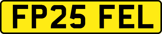 FP25FEL